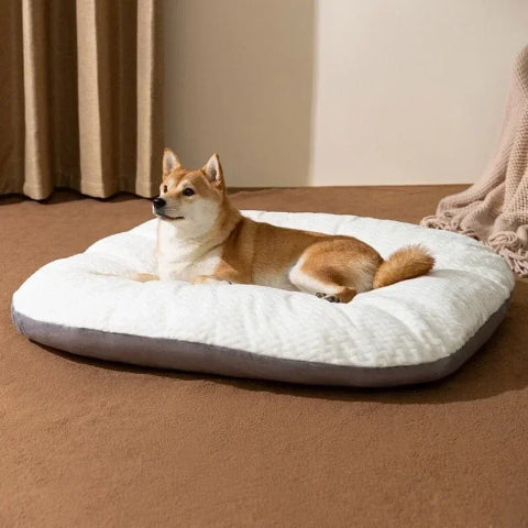 Coussin pour chien déhoussable |blanc