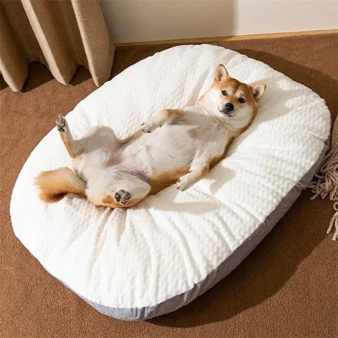 Coussin pour chien déhoussable chien heureux
