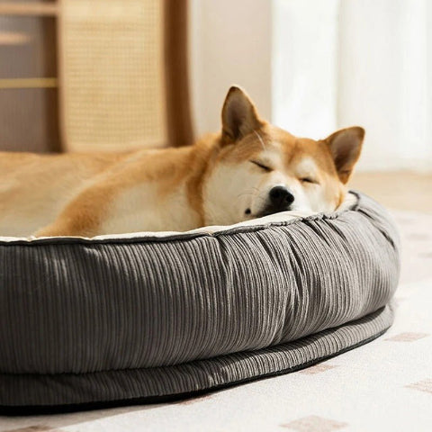 Coussin pour chien déhoussable chien qui dort