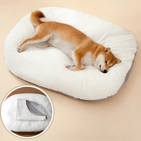 Coussin pour chien déhoussable housse lavable