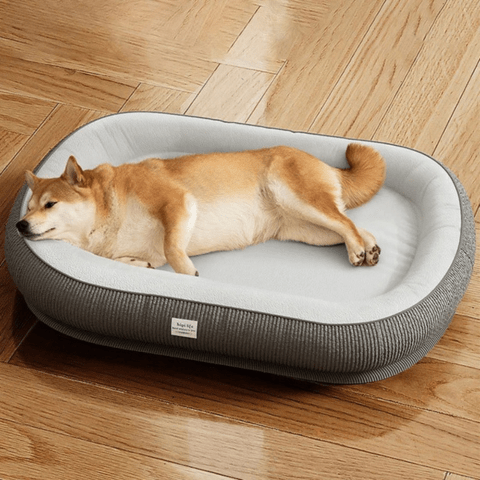 Coussin pour chien déhoussable Mathias ovale