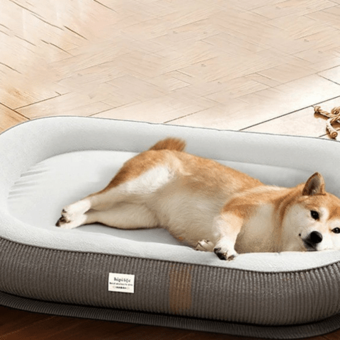 Coussin pour chien déhoussable moelleux