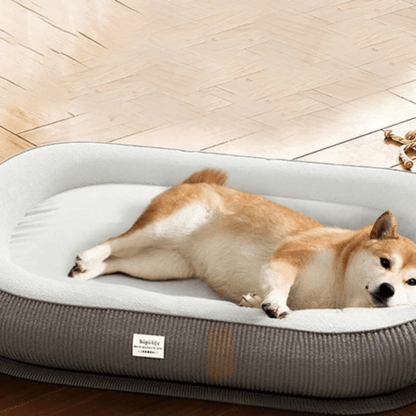 Coussin pour chien déhoussable moelleux