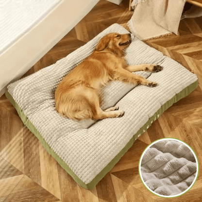 coussin pour chien déhoussable reposant 