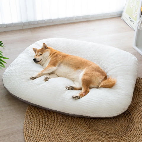 Coussin pour chien déhoussable sommeil