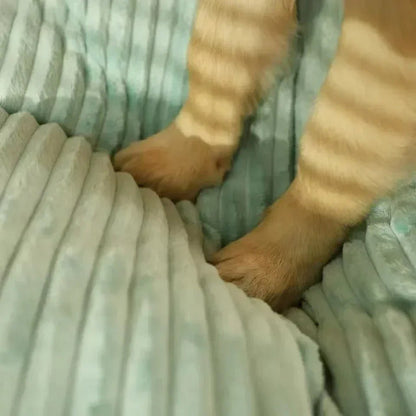 Coussin pour chien moelleux-tendre