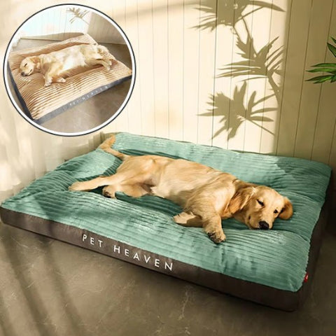 Coussin pour chien sommeil réparateur