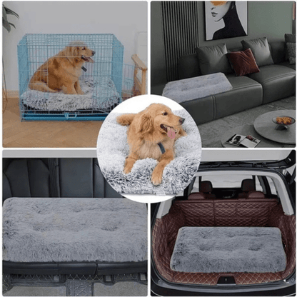 Coussin pour chien transportable