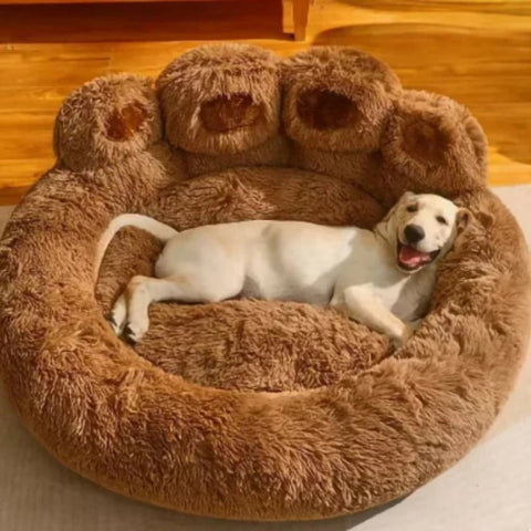 confort du chien 