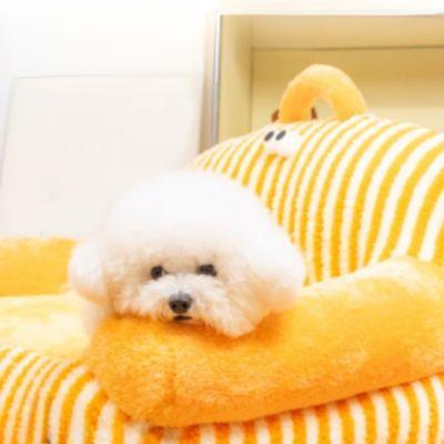 fauteuil pour chien rebords intégré 