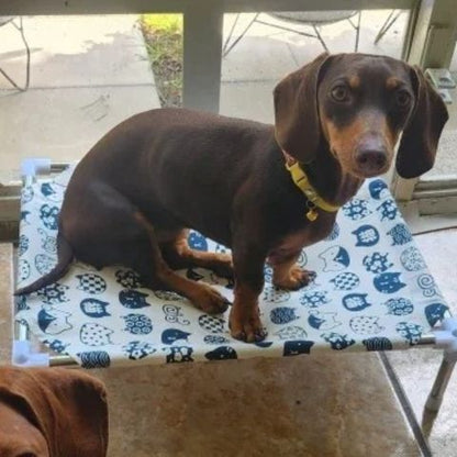 lit de camp pour chien pinscher