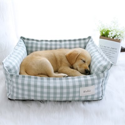 lit pour chien qui dort paisiblement 