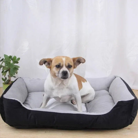 lit pour chien moelleux