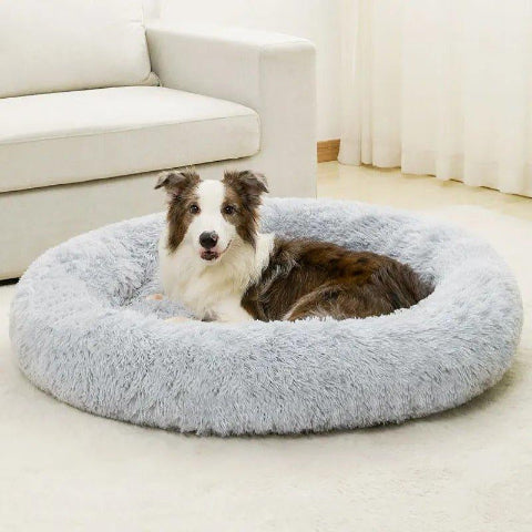 lit pour chien rond 