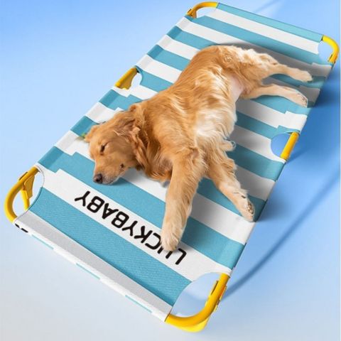 lit surélevé pour chien labrador allongé 
