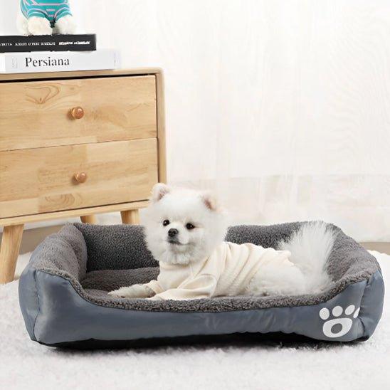 lit pour chien | rectangle couleur - Confort du chien