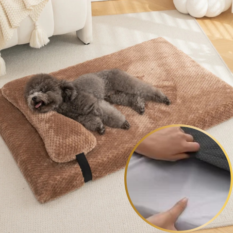 matelas pour chien confortable