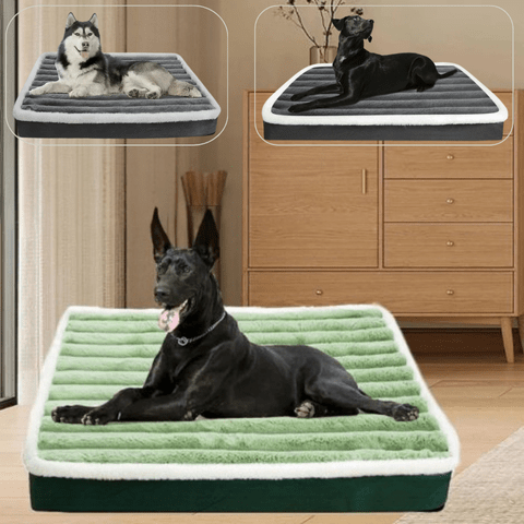 Matelas pour chien couleur