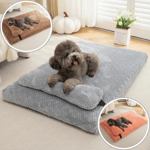 Matelas pour chien couleur