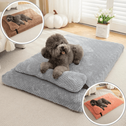 Matelas pour chien couleur