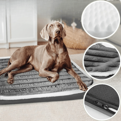 Matelas pour chien doux