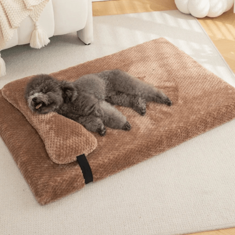 Matelas pour chien marron