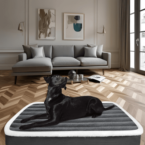Matelas pour chien velours cotel