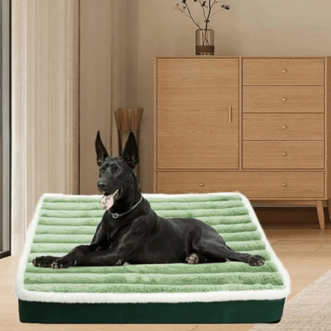 Matelas pour chien chien noir