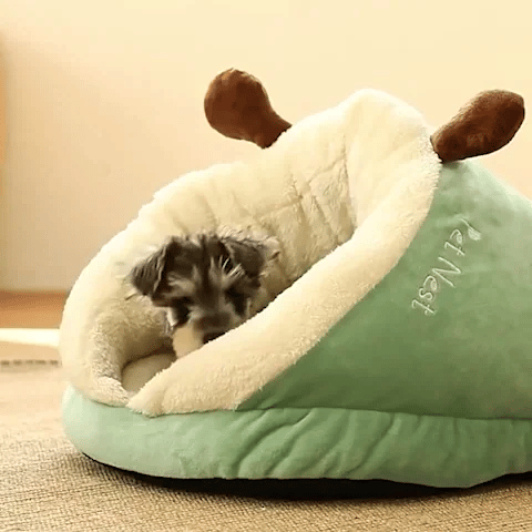niche chien intérieur finition soignées 