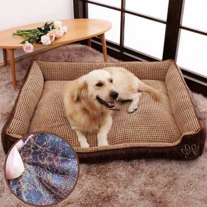 panier chien résistant 
