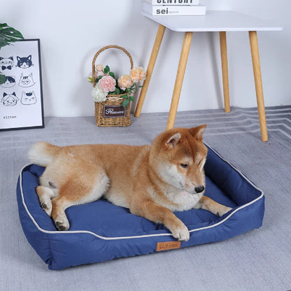 panier chien soulage articulation