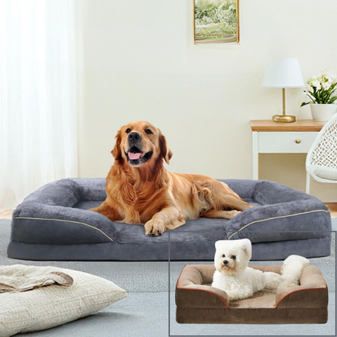 panier chien taille