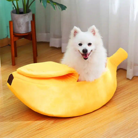 panier pour chien confortable