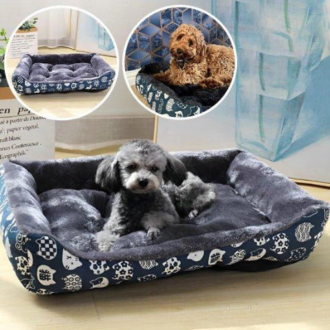panier pour chien douillet