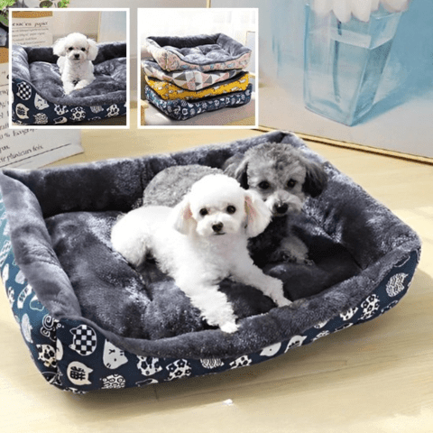 panier pour chien grand modèle