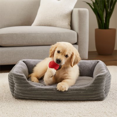 panier pour chien gris velours 