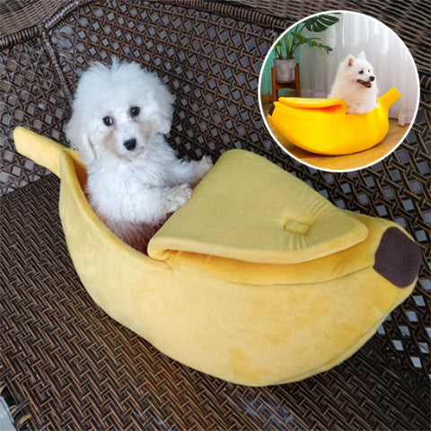 panier pour chien lit