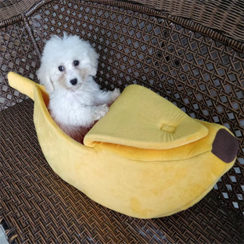 panier pour chien polyvalent 