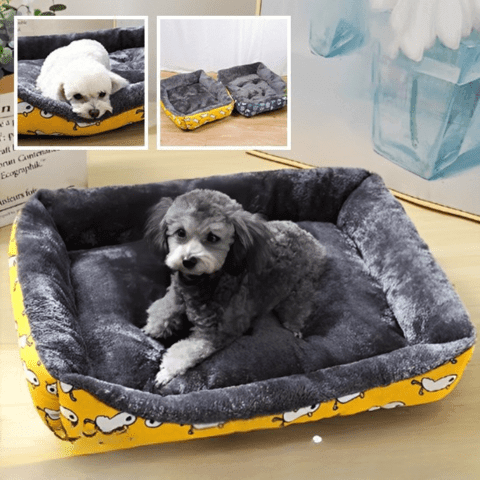 panier pour chien surélevé