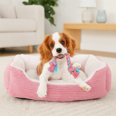panier pour chien matière douce 