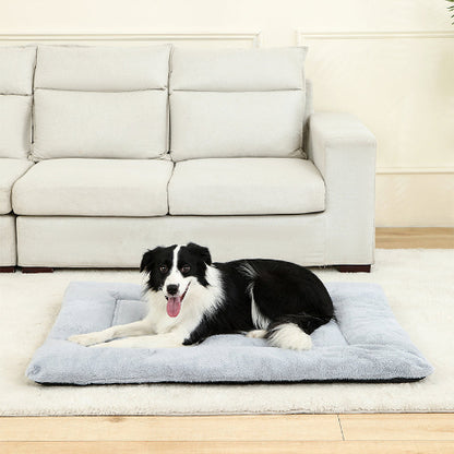 tapis chien border collie