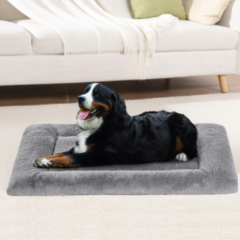 tapis chien confortable 