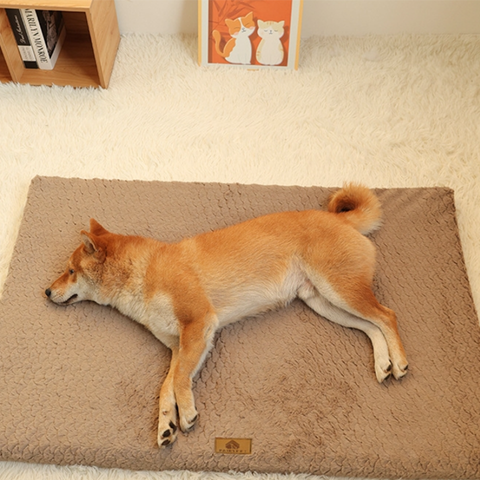 tapis chien confortable et moelleux 