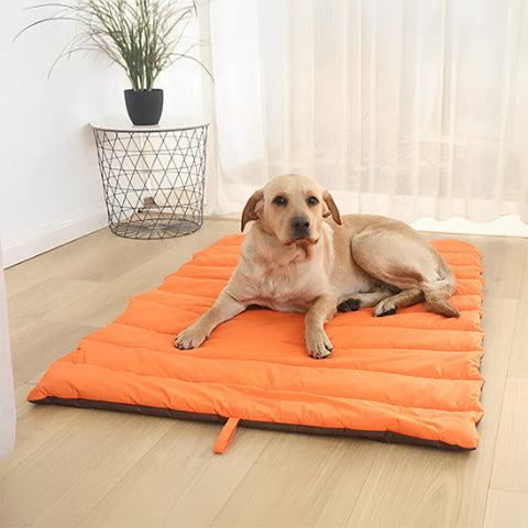 tapis chien orange gris 
