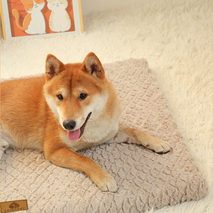 tapis chien orthopédique 