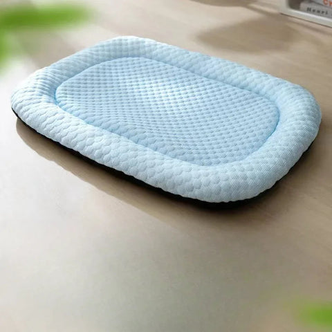 tapis chien rafraichissant bleu