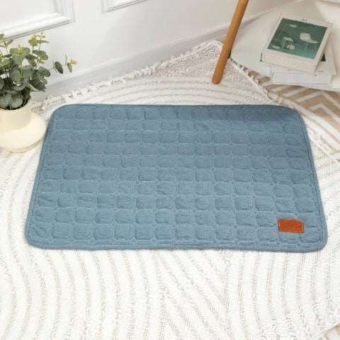Tapis pour chien bleu carré 