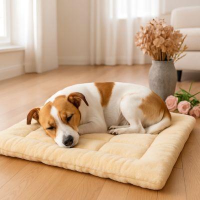 tapis pour chien chien qui dort 