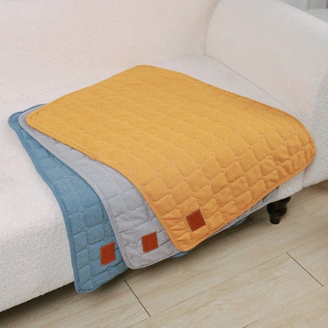 Tapis pour chien couleur