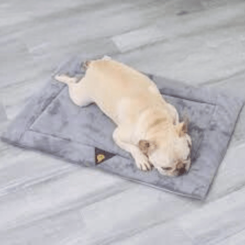 Tapis pour chien doux